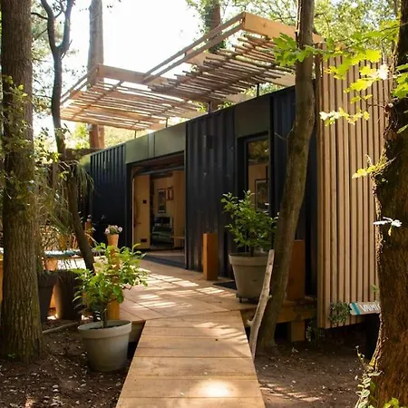 Vaimiti, Cosy Sous Les Pins