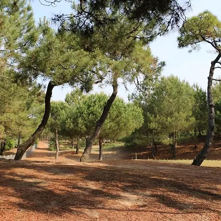 בית נופש Vaimiti, Cosy Sous Les Pins סן-ברבן-לה-פן