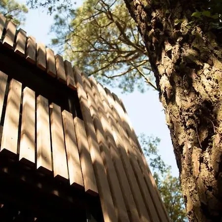 Vaimiti, Cosy Sous Les Pins Dom wakacyjny Saint-Brévin-les-Pins