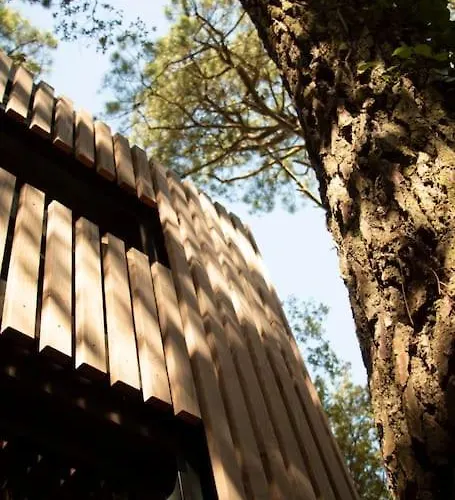 Vaimiti, Cosy Sous Les Pins Hébergement de vacances Saint-Brévin-les-Pins