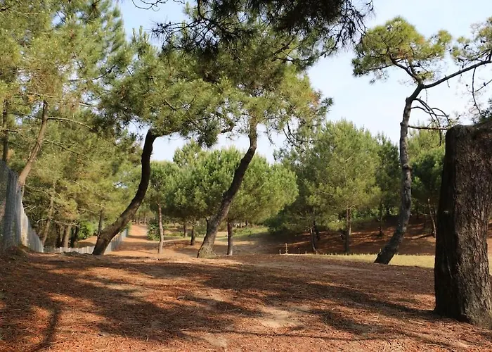 Hébergement de vacances Vaimiti, Cosy Sous Les Pins Saint-Brévin-les-Pins